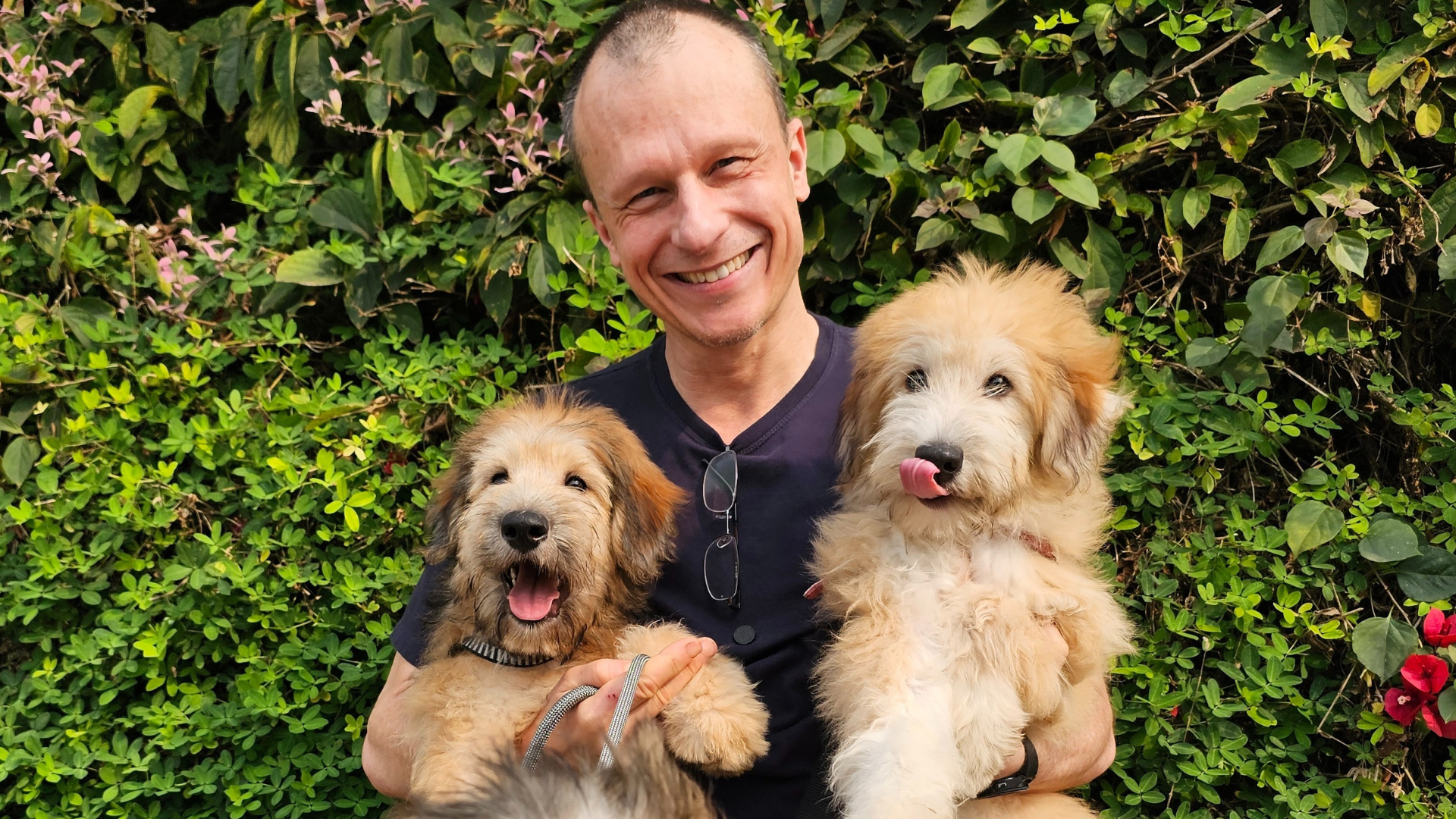 Os segredos por trás das manias dos cães 1 Dr. Pet segurando dois cachorros em seus braços.