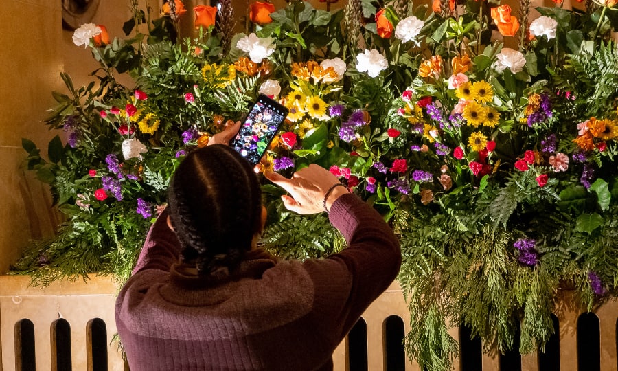 Mulher tirando foto de plantas.